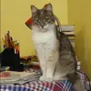 Отзыв от Алена Колесникова